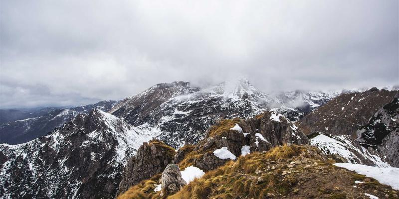 交换芯片架构演进史：从固定功能到可编程ASIC如何重塑网络技术