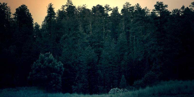 打破云孤岛：揭秘多云与混合云网络互联的下一代架构——云交换中心与智能网关选型实战指南